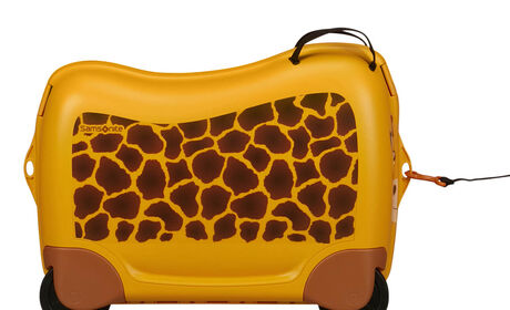 Multifunctionele riem