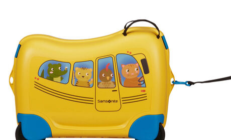 Multifunctionele riem