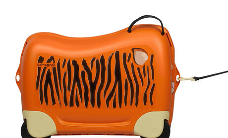 Multifunctionele riem