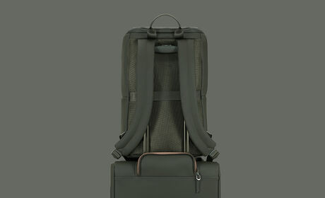 Back