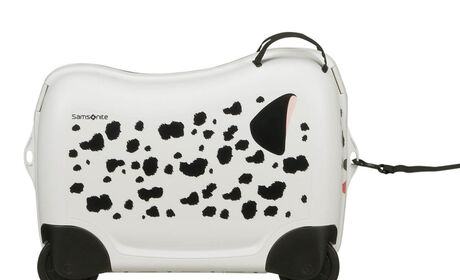 Multifunctionele riem