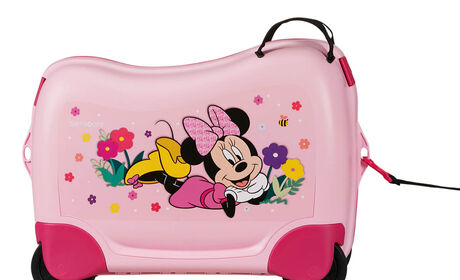 Multifunctional leash