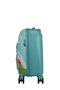 Wondertrips Handbagage