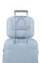 Dreami Beauty case