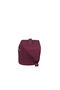 Cloudrider Washbag