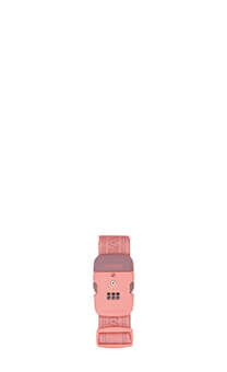 American Tourister Luggage Strap Kofferriem/TSA-slot